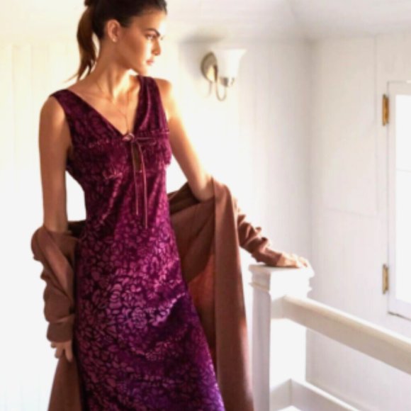 Anthropologie Velvet Burnout Slip Dress